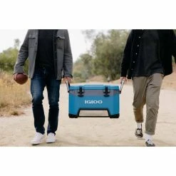 Coupon 👏 Iceboxes And Soft Coolers Igloo BMX Cooler 49L 😉 -Camping Cooking Equipment Shop BCF 624162 06 hi res